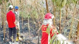 Menhut Pastikan Pembasahan Gambut untuk Atasi Karhutla di Kalsel Terus Berjalan