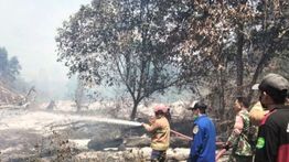Tim Gabungan Padamkan Karhutla di 13,8 Hektare Kawasan Hutan Konservasi Kaltim
