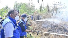 BMKG Ungkap Asap Karhutla Kalimantan Terbawa Angin Sampai ke Negara Tetangga