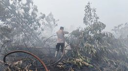 Cek Fakta: Haji Isam Ditunjuk sebagai Koordinator Penanganan Karhutla di Kalimantan?