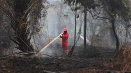 Jepang Kerahkan Kapal Tempur dan Helikopter untuk Bantu Penanganan Karhutla di Indonesia