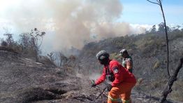 Karhutla Lereng Gunung Semeru Meluas, Area Terdampak Diperkirakan Lebih dari 600 Hektare