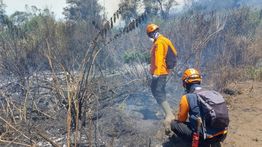 Karhutla Meluas, Lima Kawasan Pegunungan di Jatim Dilanda Kebakaran