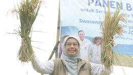 KPK Panggil Kepala Bulog Jateng dan 37 Saksi Terkait Kasus Bansos Beras