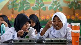 BGN Minta Guru Dampingi Siswa Saat Makan MBG Sekaligus Edukasi Gizi