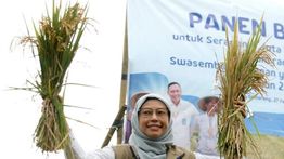 KPK Periksa Kepala Bulog Jateng dan 38 Saksi di Kasus Bansos Beras