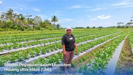 Dari Gadai Emas hingga KUR Mikro, Holding Ultra Mikro Bawa Mur Dwi Astuti Sukses Jadi Petani di Merauke