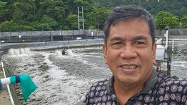 Pemerintah Diharap Optimalkan Udang Lokal sebagai Instrumen Ekonomi RI