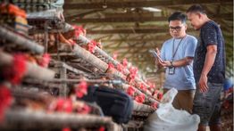 Indeks Bisnis UMKM BRI Triwulan II 2026: Ketahanan UMKM Terjaga, Ditopang Optimisme Prospek Usaha