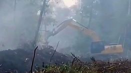 Kemenhut Catat 1.532 Hotspot Karhutla, Terbanyak di Kalimantan Tengah