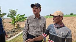 Dody Hanggodo Murka Lihat Sawah Kering: Swasembada Pangan Presiden Tak Boleh Gagal!