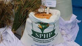 BULOG Terus Percepat Penyaluran SPHP Jagung Pakan, Pastikan Stok Nasional Mencukup