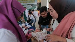 IDAI Ingatkan Risiko Infeksi Salmonella pada Bayi yang Diberi Telur Mentah
