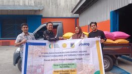 BULOG Gencarkan Penyaluran 150 Ribu Ton SPHP Jagung Tahap II, Prioritaskan Peternak Mikro