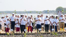 Lindungi Pantai Utara Jawa dari Abrasi, BRI Tanam 30 Ribu Bibit Mangrove dan Manfaatkan Sampah Jadi Pemecah Ombak Melalui Program BRI Peduli
