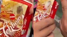 Teh Botol Sosro Tegas Bakal Selidiki Dugaan Produk Berbusa dan Berbau Sabun