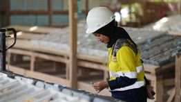 EMAS Siapkan Dana Eksplorasi USD11,4 Juta pada 2027 untuk Tambang Pani