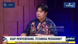 GESTUR: Singapura-Malaysia Persoalkan Karhutla di RI, Pakar IPB Sebut Forensik Satelit Bisa Lacak Sumber Asap
