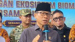 Mendes Yandri Sebut Pemanfaatan Biomassa PLN Buka Peluang Ekonomi Baru di Desa