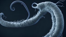Pemerintah Amerika Serikat (AS) mengumumkan kasus pertama infeksi parasit pemakan daging (flesh-eating parasite) yang menjangkiti manusia di negara tersebut.