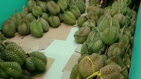 Seorang pria di Pekanbaru, merasa kecewa setelah memakan durian dengan harga Rp 575 ribu. Kejadian ini sempat viral di media sosial dan menjadi perbincangan hangat.