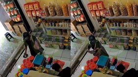 Sebuah video yang menunjukkan seorang ibu-ibu mencuri dodol Betawi 1 kg di sebuah toko viral di media sosial.