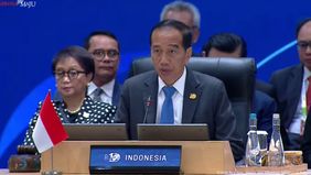 Jokowi mengakui ada pertemuan dengan Ketua Umum Parpol tetapi tidak membahas hal tersebut.