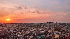 Sampah plastik kerap menjadi masalah utama dalam pencemaran lingkungan, baik pencemaran tanah maupun laut. Sifat sampah plastik ini tidak mudah terurai, proses pengolahannya menimbulkan toksik, dan bersifat karsinogenik, butuh waktu yang lama. 