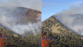  Kebakaran hutan di Gunung Batok dilaporkan terjadi pada sabtu dini hari atau pukul 03.30 WIB.