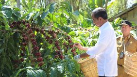 Presiden Joko Widodo (Jokowi) meminta semua komoditas perkebunan dan pertanian harus masuk dalam industrialisasi dan masuk ke hilirisasi.
 