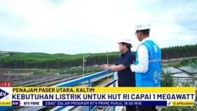 PLN telah memetakan kebutuhan listrik untuk menunjang peringatan HUT ke-79 RI sebesar 1,5 MW sementara PLTS IKN sudah memasuk listrik sebesar 10 MW sejak Februari 2024. Dan akan ditingkatkan ke angka 50 MW pada akhir tahun 2024.