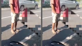 Terlibat adu banteng di jalan raya.