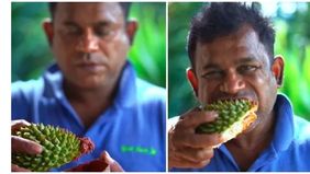 Berbeda dengan kebiasaan umum, seorang pria dari Malaysia melakukan sesuatu yang tidak biasa, makan kulit durian.