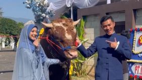 Seorang pria asal Bogor viral di media sosial karena memberikan mahar berupa sapi jumbo dan emas berlian dalam pernikahannya.