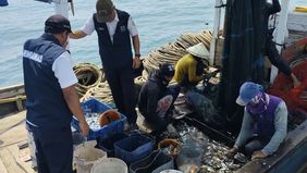 Suku Dinas Ketahanan Pangan, Kelautan, dan Pertanian (Sudin KPKP) Kabupaten Kepulauan Seribu telah berhasil menangkap sembilan unit kapal nelayan yang melanggar peraturan dengan menggunakan alat tangkap ikan yang dilarang di perairan setempat.