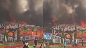 Sebuah kabar duka menyelimuti pariwisata Semarang. Taman Bunga Celosia, salah satu destinasi favorit yang menyuguhkan keindahan alam dan beragam wahana, terbakar hebat pada Selasa (6/8/2024) sore.