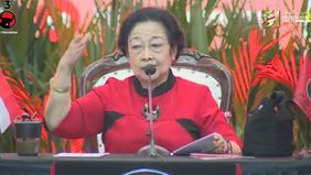 Megawati diduga menyindir Wakil Ketua DPR RI Sufmi Dasco Ahmad 