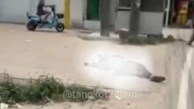 Seorang pria berinisial FS (27) ditemukan tergeletak bersimbah darah di depan sebuah Alfamart di KM 35, Jayanti, Kabupaten Tangerang, setelah berupaya melawan pencuri yang hendak mengambil motornya. Peristiwa ini terjadi pada Kamis, 5 September 2024.