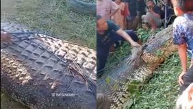 Tertangkap oleh warga.