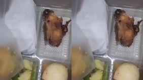 Isinya nasi putih dan lauk telor bulat.