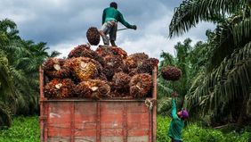 Pemerintah mendorong penggunaan hasil riset perguruan tinggi dan lembaga ilmiah untuk mempercepat hilirisasi industri. Sinergi dunia usaha dan industri bersama lembaga riset dan kampus sangat diperlukan agar pengembangan program hilirisasi lebih opti