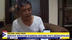 Diduga Kematian Kucing-Kucing Ini Akibat Diracun Oleh Seseorang.
