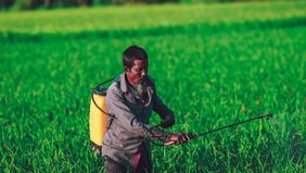 Pestisida sering digunakan untuk melindungi tanaman dari hama dan penyakit, namun residu yang tertinggal pada buah, sayuran, dan produk pertanian lainnya dapat berdampak negatif pada kesehatan.