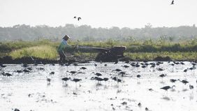 Kementerian Pertanian (Kementan) menegaskan bahwa seluruh bantuan alat dan mesin pertanian (alsintan) diberikan kepada petani secara gratis.
