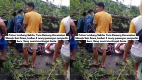 Pohon tumbang tewaskan suami dan melukai istri pengantin baru di Tana Karaeng, Kabupaten Gowa.