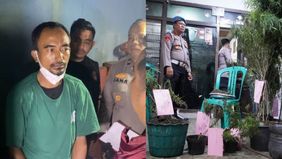 Kepolisian menangkap AJ yang dicurigai menanam ganja di atap rumahnya di Pedongkelan, Cengkareng, Jakarta Barat.