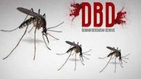 Kementerian Kesehatan melaporkan adanya peningkatan kasus demam berdarah dengue (DBD) di Indonesia hingga minggu ke-43 tahun 2024. Saat ini, tercatat sekitar 210.644 kasus dengan 1.239 kematian, sementara pada tahun 2023 hanya ada 114.720 kasus denga