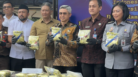 Badan Narkotika Nasional (BNN) RI bekerja sama dengan Direktorat Jenderal Peraturan Perundang-Undangan Kementerian Hukum untuk menyusun Rancangan Undang-Undang (RUU) Narkotika dan Psikotropika, yang telah ditetapkan sebagai bagian dari Program Legisl