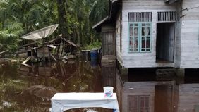 Badan Penanggulangan Bencana Daerah (BPBD) Kabupaten Aceh Barat melaporkan bahwa sebanyak 3.811 orang atau 1.312 kepala keluarga (KK) di wilayah tersebut terdampak banjir.