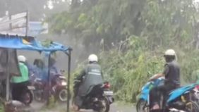 Pohon besar tumbang di Jalan RE Martadinata, Ciputat, menyebabkan kemacetan parah dan mendorong pengendara mencari jalur alternatif.